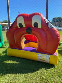 PISCINA DE BOLINHAS - CACHORRINHO