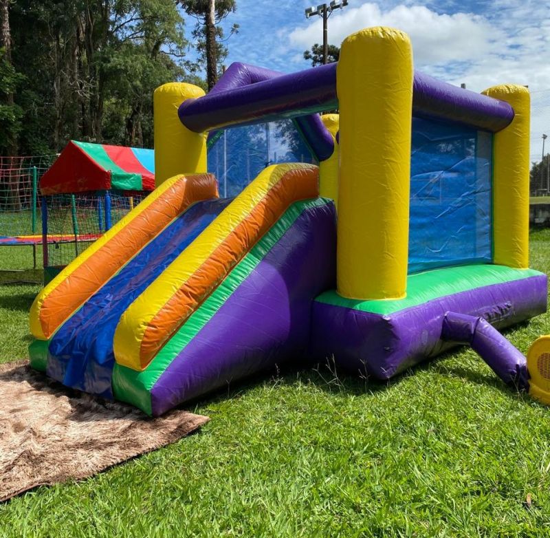 CASTELO COM ESCORREGADOR